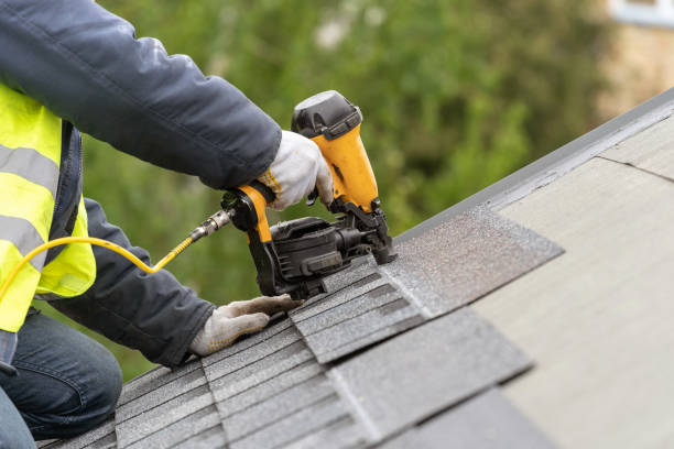 Best Roof Moss and Algae Removal  in Hicksville, OH